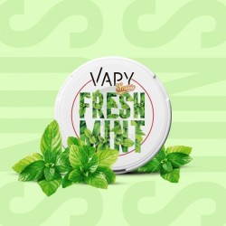 Snus Fresh Mint - Vapy