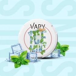 Snus Ice Mint - Vapy