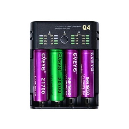 Battery charger Q4 - CVEYG 