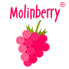 Molinberry